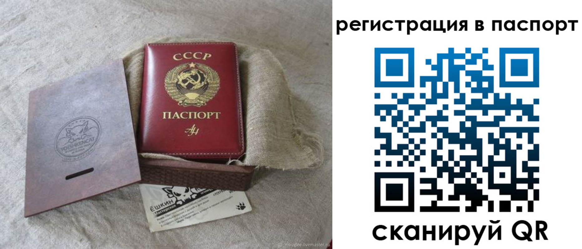 где прописаться в Елизово
